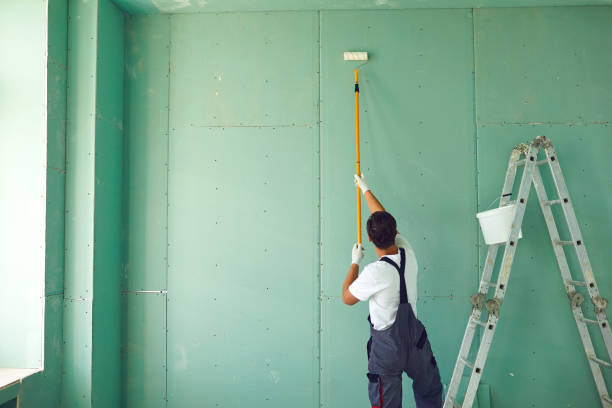 Best Dehumidification Services  in Waterloo, NE