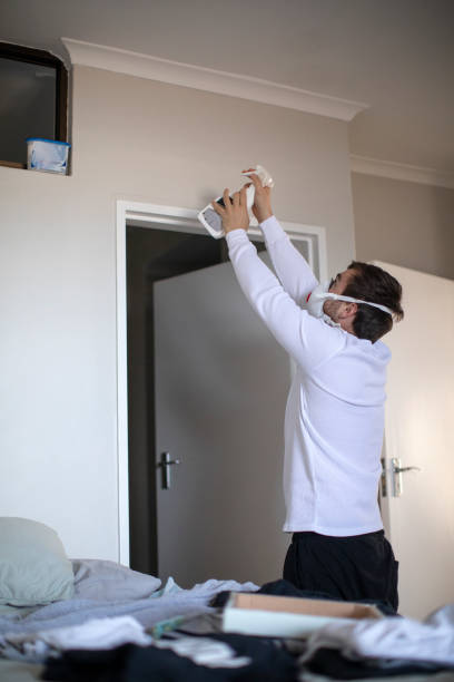 Best Mold Remediation for Rental Properties  in Waterloo, NE