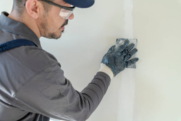 Asbestos and Lead Testing During Mold Inspection in Waterloo, NE