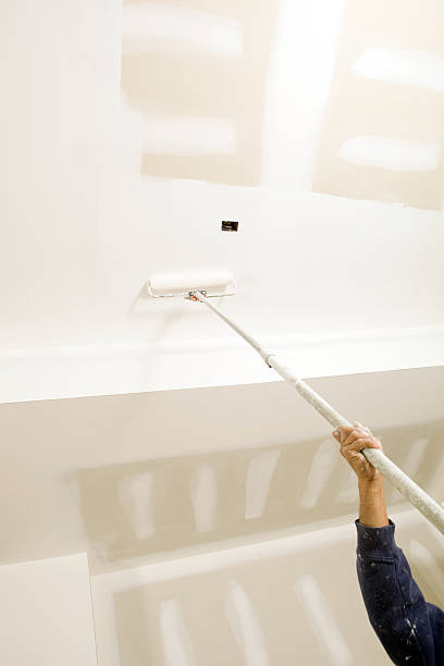 Best Forensic Mold Investigation  in Waterloo, NE