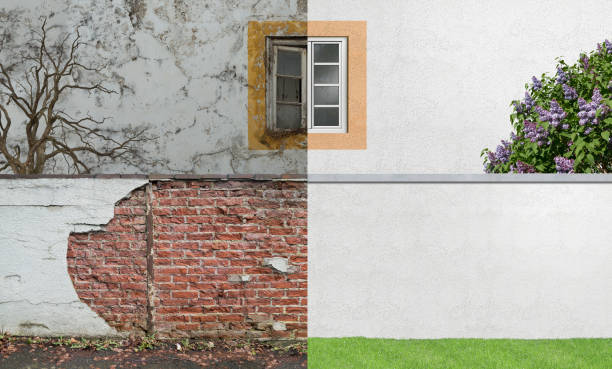 Best Mold Prevention Services  in Waterloo, NE