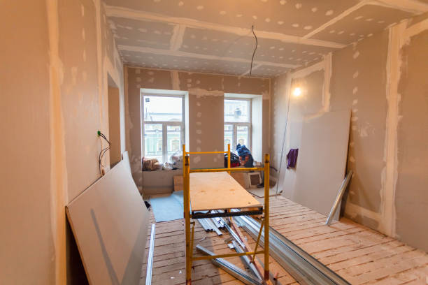 Best Environmental Consulting for Mold Prevention  in Waterloo, NE